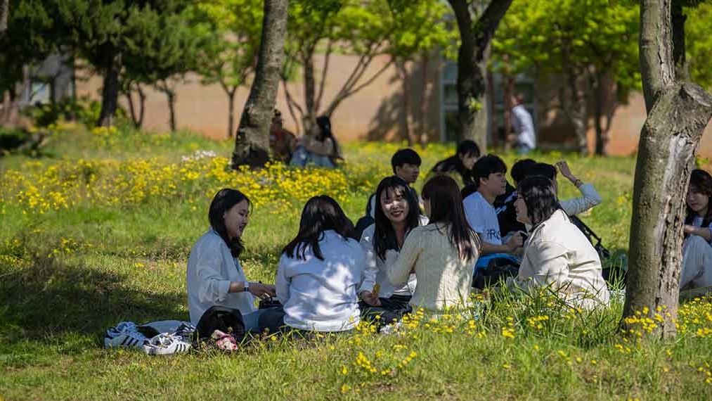 春のうららかなキャンパスの芝生に座り、笑顔で談笑する学生たち（語学堂 開講日程）